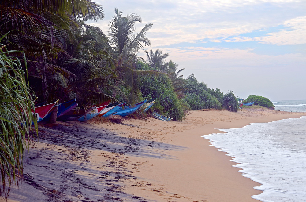 The World’s Best Bohemian Surf Retreats | Part II | Soul & Surf- Sri Lanka
